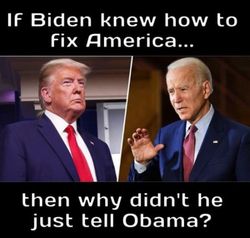 if Biden knew